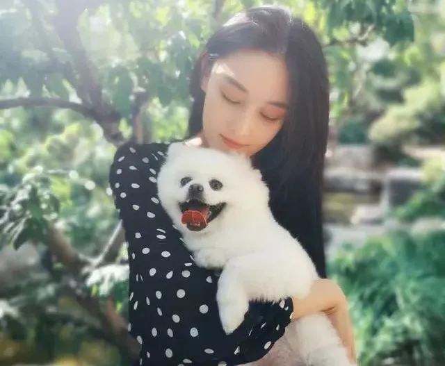 张馨予确认怀孕?送走爱犬安心养胎,一脸甜蜜的