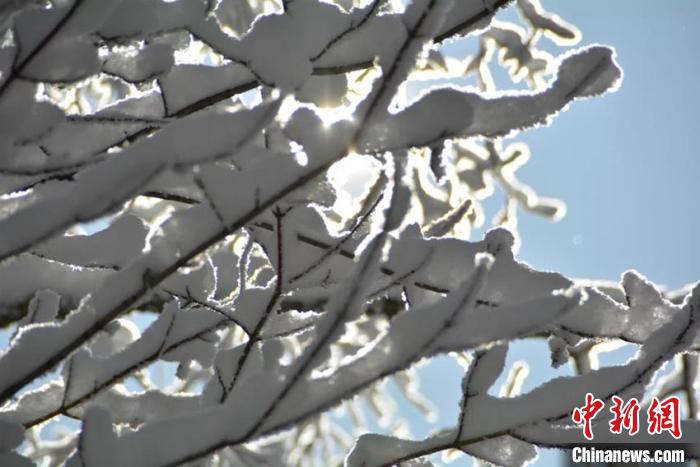 吉林“雪博会”首次引入冬奥元素 奥运探秘亮点多(最新发布)