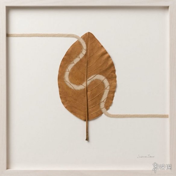 ¹Susanna BauerҶƾƷ Ѳμչ