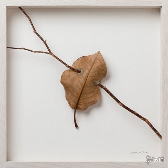 ¹Susanna BauerҶƾƷ Ѳμչ