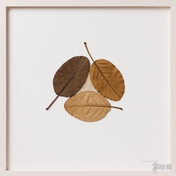 ¹Susanna BauerҶƾƷ Ѳμչ