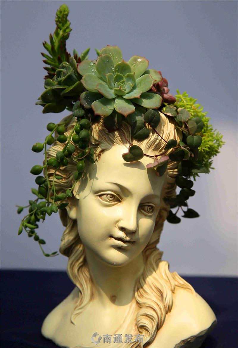 全国组合盆栽高手齐聚如皋