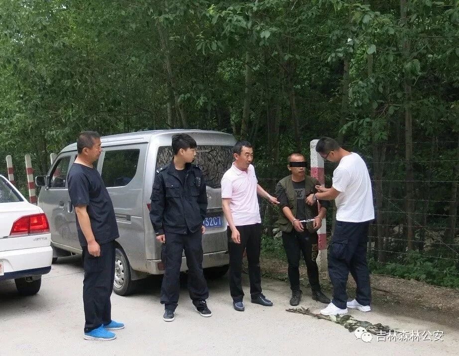 桦甸农民上山捕蛇241条,涉嫌非法狩猎被刑拘!