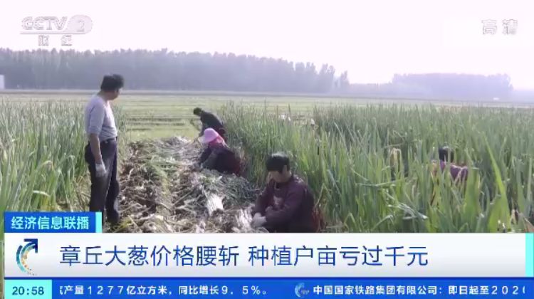 365bet体育在线主页,如何治疗胃病 六个偏方可带来明显疗效