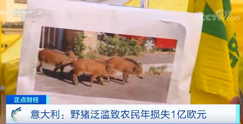 「91网站怎么注册」市场调整进行时,判断才是一切的核心!