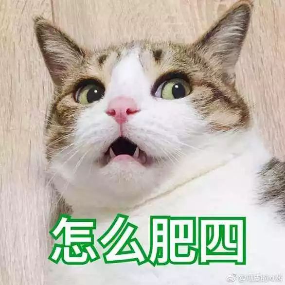 因为忽略这件事儿,华人夫妇赴澳探亲,丢掉“