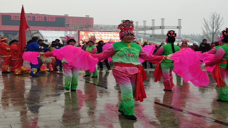 �ӱ����ӻ��� ѩ��������ʨ