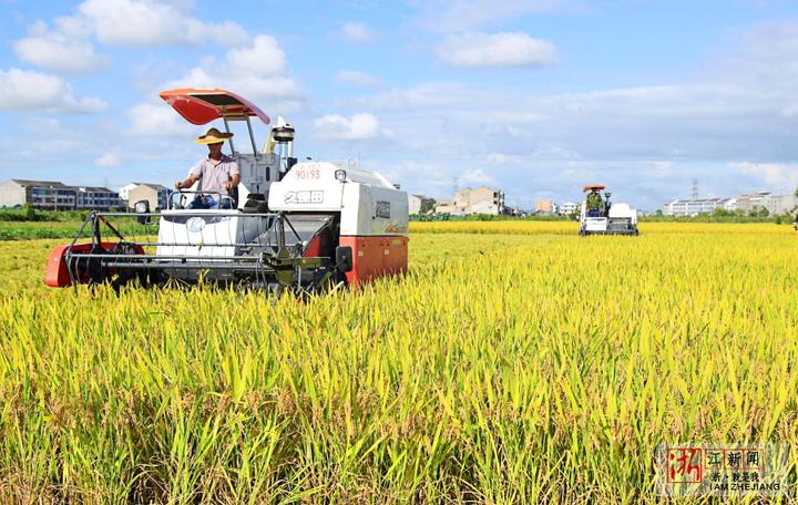 庆祝改革开放40年 晒出你的影像 述说你的变化⑥水稻生产从手工到全程机械化