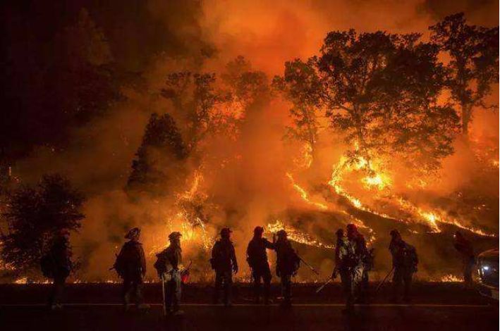 牺牲的森林救火队员,和一个没有朋友的防火办主任