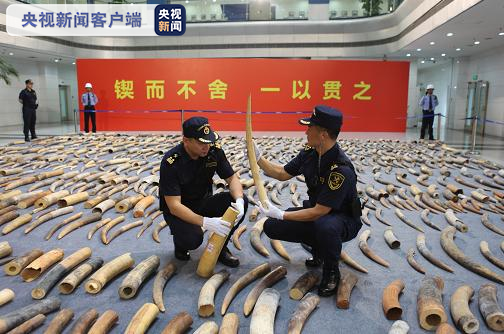 澳门网址赌场正规网址|澳欲借