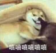 《不正经新闻》第59期:你还别说,穿上cos服我就手痒痒