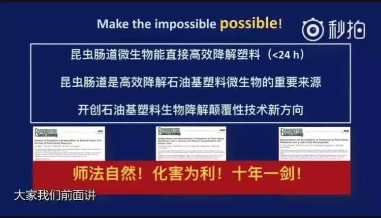 飙温！30℃春天回来了｜崩溃！秦皇岛一对情侣酒