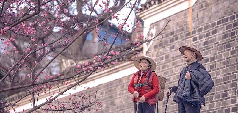 国产片差的不是钱,有人就用1500元拍出了好电影 国产片差的不是钱,有人就用1500元拍出了好电影
