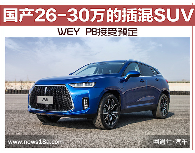 国产26-30万的插混SUV WEY P8接受预定