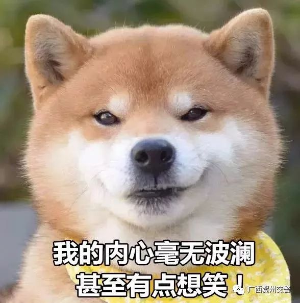 惊!班车脐橙箱里暗藏香烟!托运者企图瞒天过海被识破