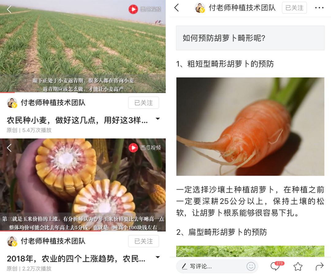 海外华人经济总量_经济总量增强图片