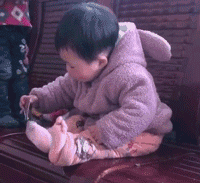 我拿你当宠物你却想上我 动图 你这是龟口夺食啊!