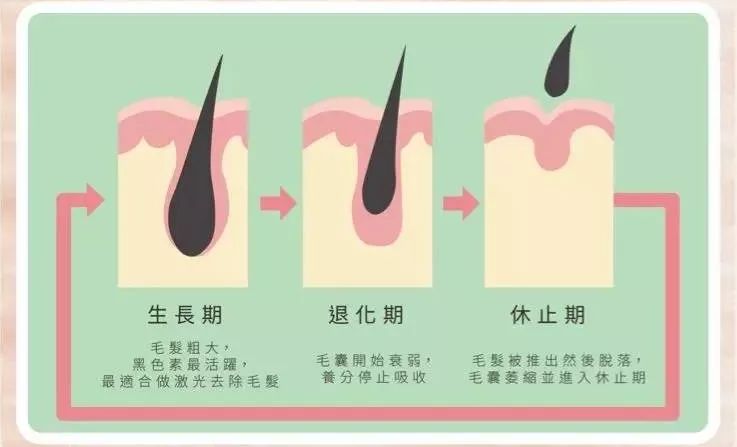 杨幂的发际线又火了 这次你们还能挑出毛病