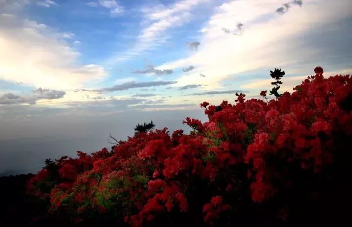 缙云仙都景区及周边景区特色疗休养线路推荐