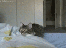 看来这位小姐姐有点敏感 动图 就你这屌样还想吃我