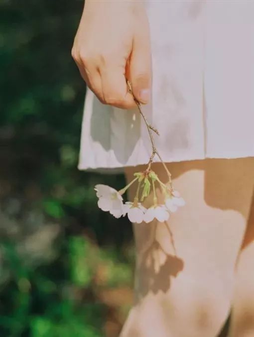 岁月里,走着走着花就开了