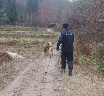 城固县各镇人口_城固县双溪镇图片(3)