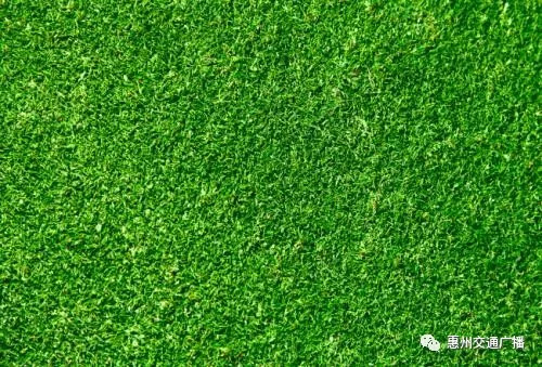 快来告诉槽妹妹,绿色能够缓解眼睛疲劳?