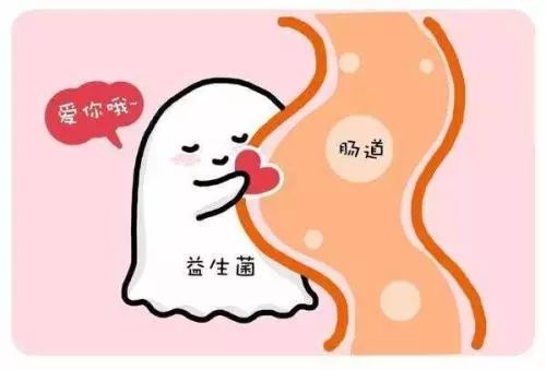 健康| 益生菌:我们不止维护肠胃健康|微生物|益生菌|乳杆菌_新浪网