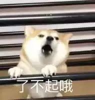 男星上位史——被资本睡服后沦为双插头的“强推之耻”