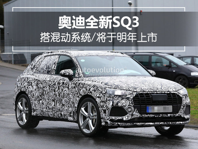 奥迪全新SQ3将于明年上市 造型运动/搭混动系统