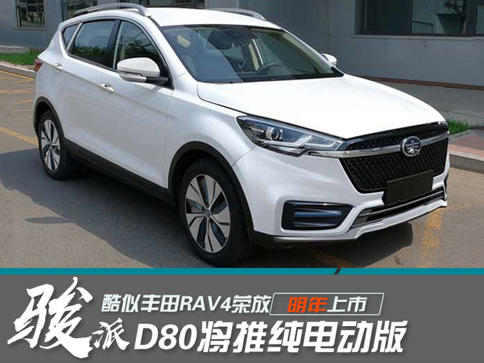 “丰田RAV4”纯电版明年开卖 网友“买啥比亚迪宋”