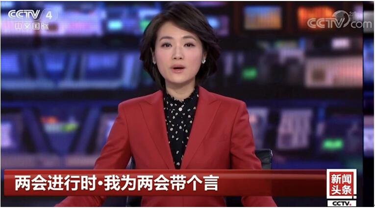 2019「全国两会」18位快手老铁上CCTV向代