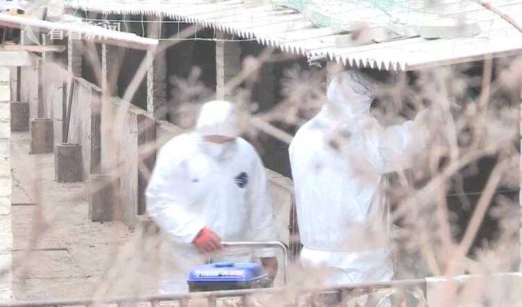 2025年中国金鸡百花电影节落下帷幕