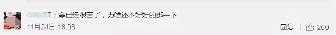 “一字马猪”火了 车主回应:是亲家的要求