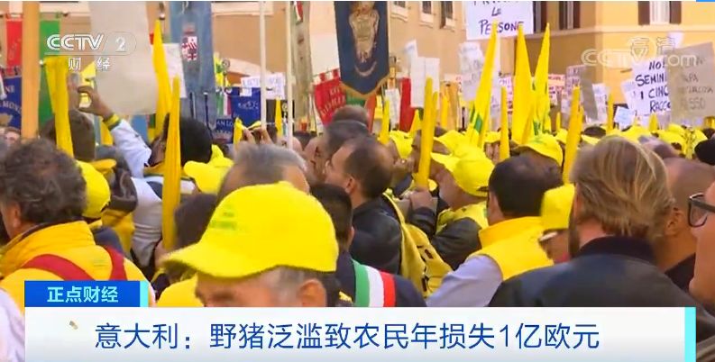 澳门英皇指定app-石家庄市“全链条”打击增值税发票虚开犯罪