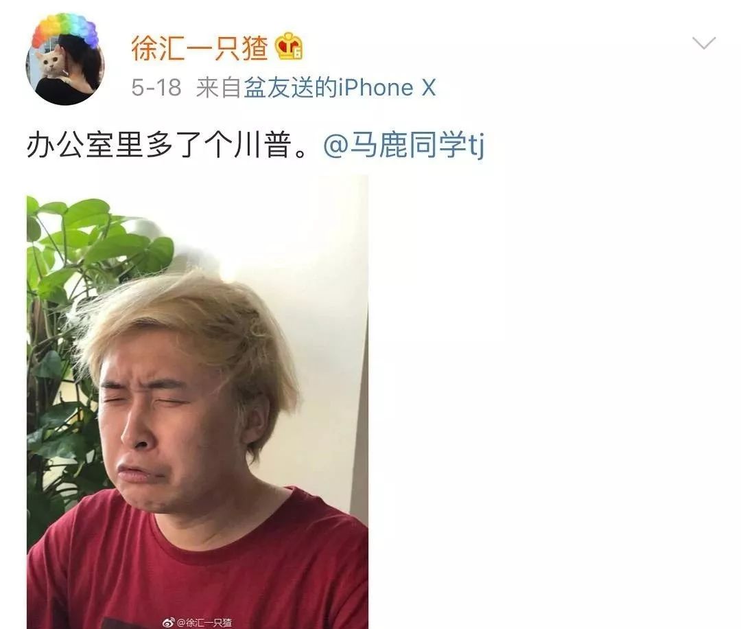 都在小号上放飞自我了吗？