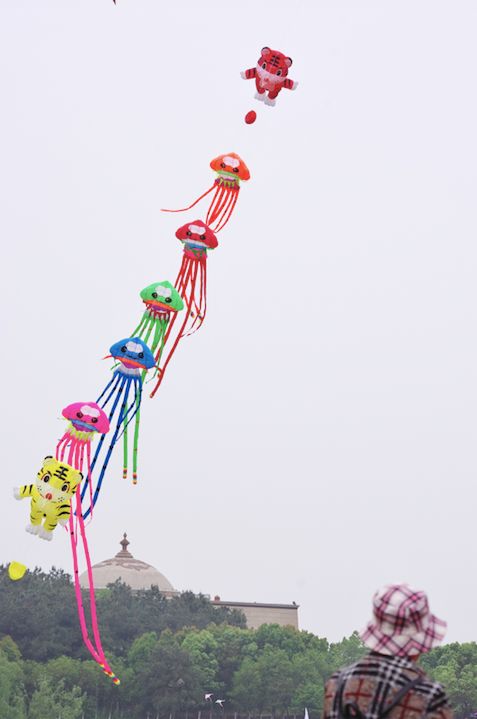 兩萬(wàn)多人都在抬頭看啥？花鳥(niǎo)魚(yú)蟲(chóng)都“飛”上了武漢的天(圖8)