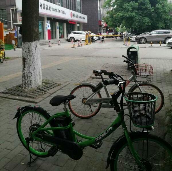 共享电单车违规停放 武汉江汉城管迅速清理