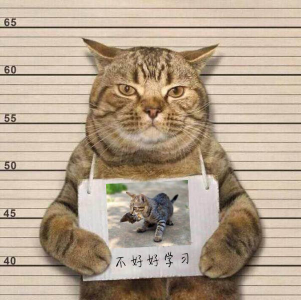 不让女大学生穿紧身裤? 每日轻松一刻3月31日周末版