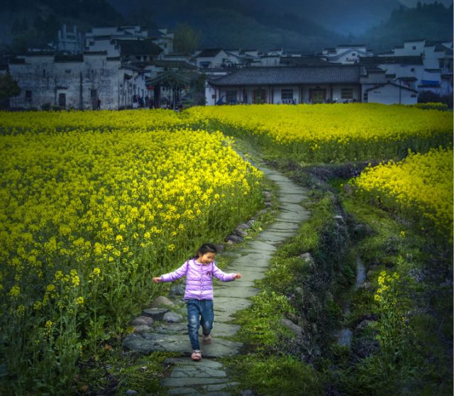 正是安徽赏花季，送你一份拍摄锦囊投身油菜花海