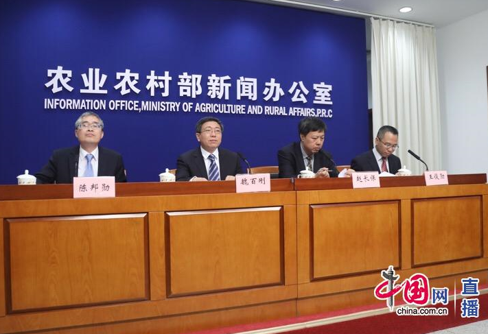 发布会现场(中国网宗超 摄)