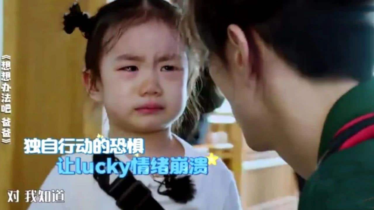 戚薇犯下低级错误发微博道歉,背后的原因真是