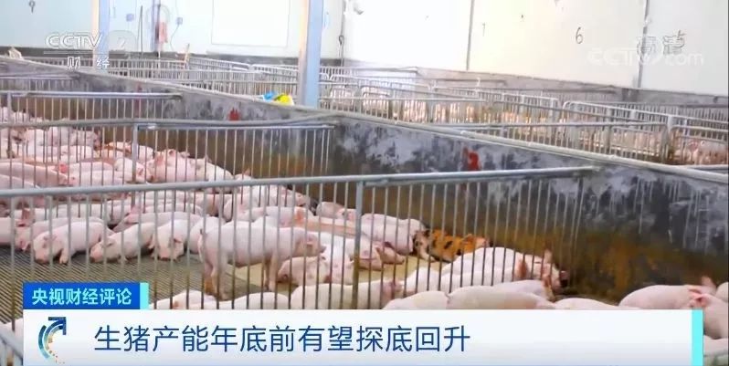 星际银河在线娱乐平台 局部小幅调整 厂家增加出库