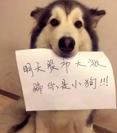 婚前协议生娃后必须减肥 每日轻松一刻3月1日晚间版