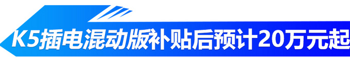 想买插混车的别着急！ 10款新车将开卖/SUV超半数