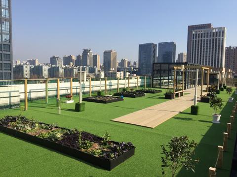 改革促发展 开放惠民生|滨江智慧教育:创新无限