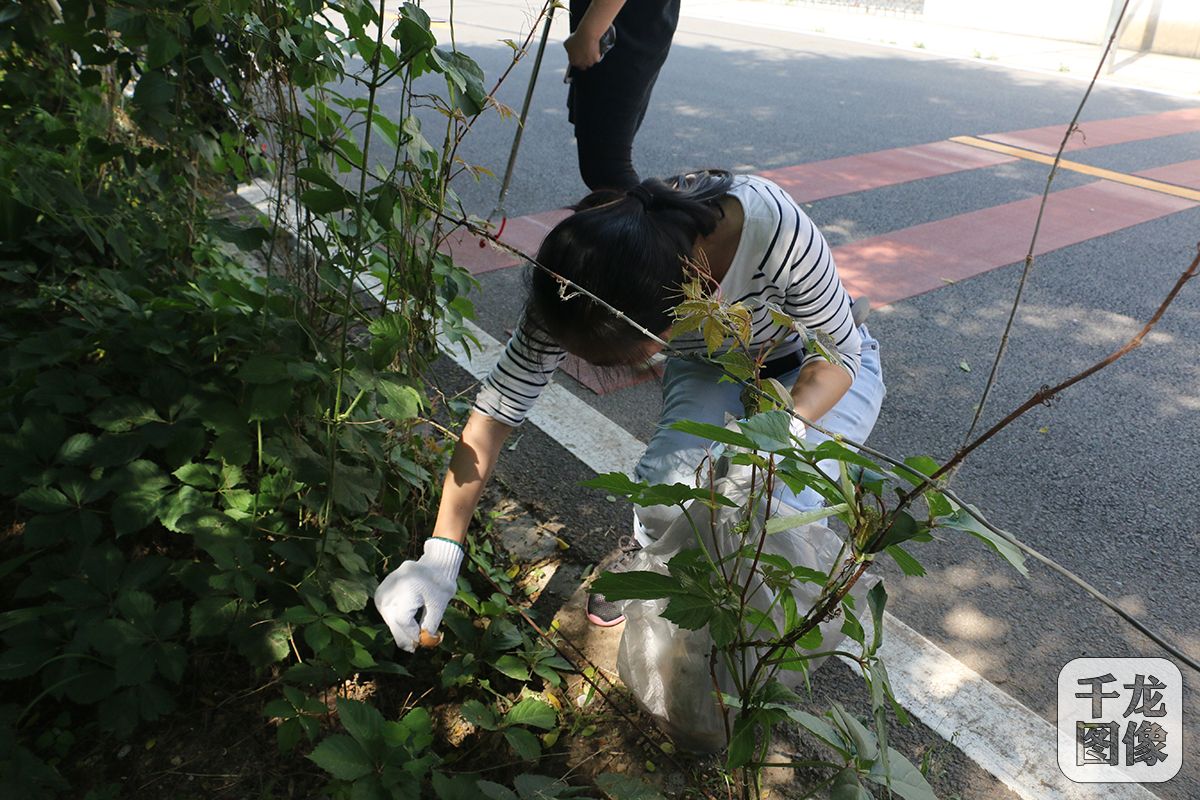 月月有活动 北京市通州区潞城镇志愿服务成常