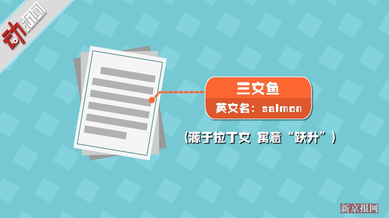 虹鳟鱼究竟是不是三文鱼?动画:协会、专家各