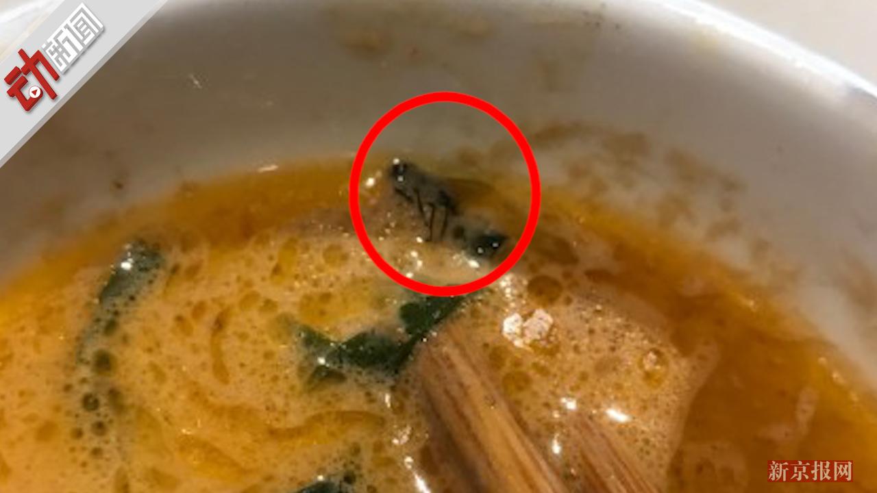 海底捞劲松店又出事!食客在酱料中发现苍蝇 再
