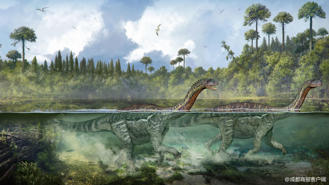 酒厂员工一个举动 中国最大规模侏罗纪恐龙足迹群现世